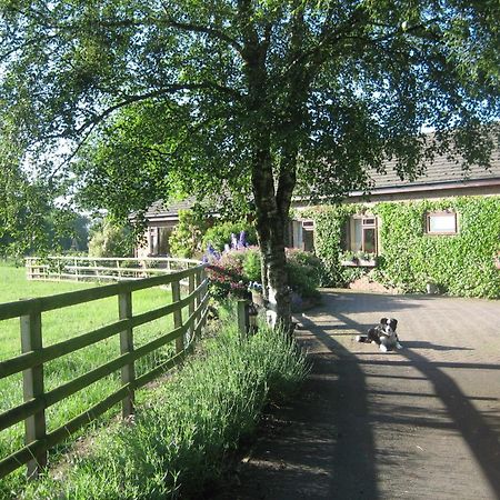 Bed and Breakfast Ladderstile Retreat Congleton Exteriér fotografie